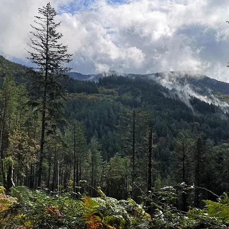 Casa Fiordaliso 普拉托韦基奥